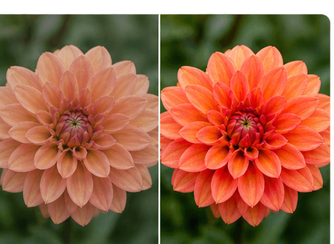 Vibrance example